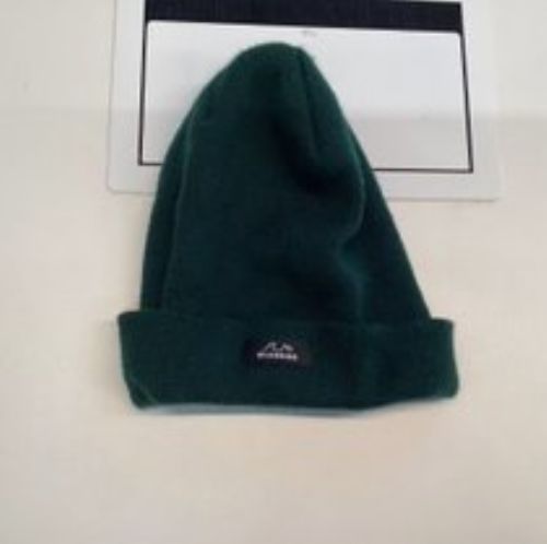 Green Bleubird Beanie